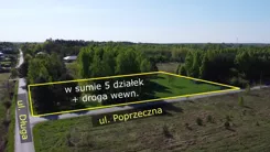 10164635 - zdjęcie nr 4