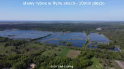 10164635 - zdjęcie nr 2