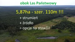 10261876 - zdjęcie nr 2