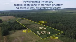 10261876 - zdjęcie nr 4