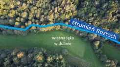 9820235 - zdjęcie nr 4
