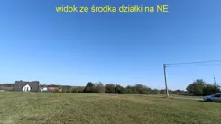 10049033 - zdjęcie nr 2