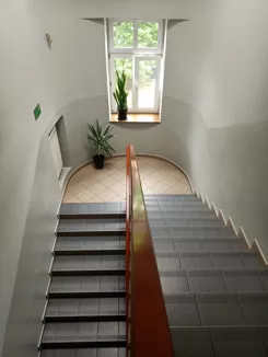 9909568 - zdjęcie nr 2
