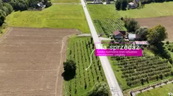 PNO313099 - zdjęcie nr 0