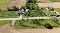 PNO313099 - zdjęcie nr 4