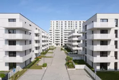 Maratońska 49 - zdjęcie nr 0