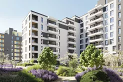 Nowa Francuska IIB - zdjęcie nr 5