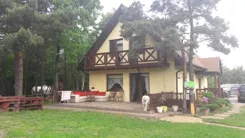 19379 - zdjęcie nr 1