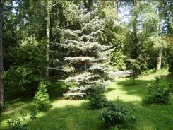 13080 - zdjęcie nr 1