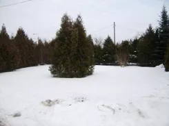 18293 - zdjęcie nr 3