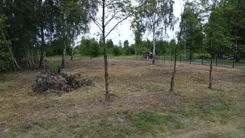 20377 - zdjęcie nr 0