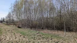20353 - zdjęcie nr 1