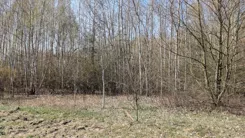 20353 - zdjęcie nr 3