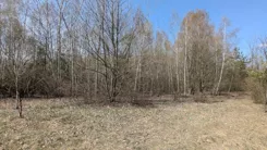 20353 - zdjęcie nr 4