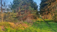 19960 - zdjęcie nr 0