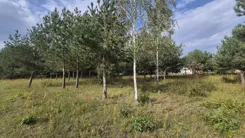 20383 - zdjęcie nr 1