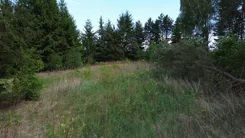 20364 - zdjęcie nr 2