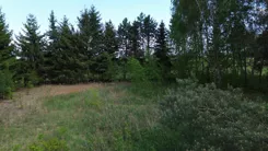 20364 - zdjęcie nr 3