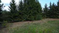20364 - zdjęcie nr 4