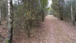 20135 - zdjęcie nr 4