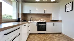 290 - zdjęcie nr 1