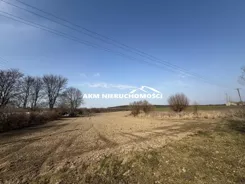 260 - zdjęcie nr 4