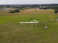 300 - zdjęcie nr 1