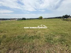 300 - zdjęcie nr 3