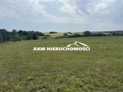 300 - zdjęcie nr 4