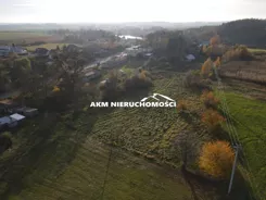 350 - zdjęcie nr 4