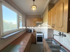 479 - zdjęcie nr 3