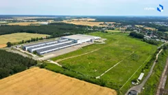 10497234 - zdjęcie nr 3