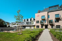 Kamieńskiego 232 - zdjęcie nr 4