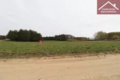 19/11339/OGS - zdjęcie nr 4