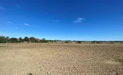 10369818 - zdjęcie nr 2