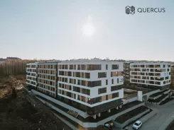 Quercus - zdjęcie nr 1