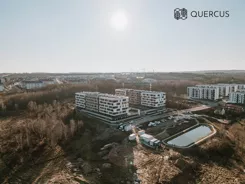 Quercus - zdjęcie nr 5