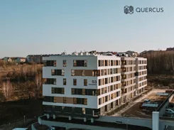 Quercus - zdjęcie nr 4