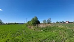 19/2517/OGW - zdjęcie nr 4