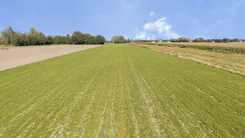 1180/2517/OGS - zdjęcie nr 0