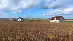 624564 - zdjęcie nr 1