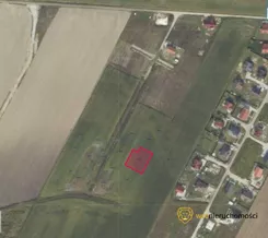 624564 - zdjęcie nr 3