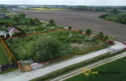 347780 - zdjęcie nr 2
