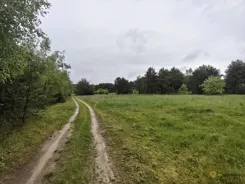 355272 - zdjęcie nr 4