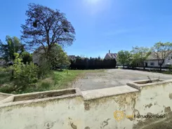 389386 - zdjęcie nr 1