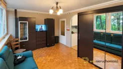 395082 - zdjęcie nr 3
