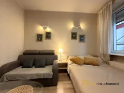570956 - zdjęcie nr 3