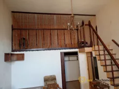 904949 - zdjęcie nr 0