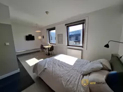 255075 - zdjęcie nr 4