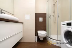 533645 - zdjęcie nr 1